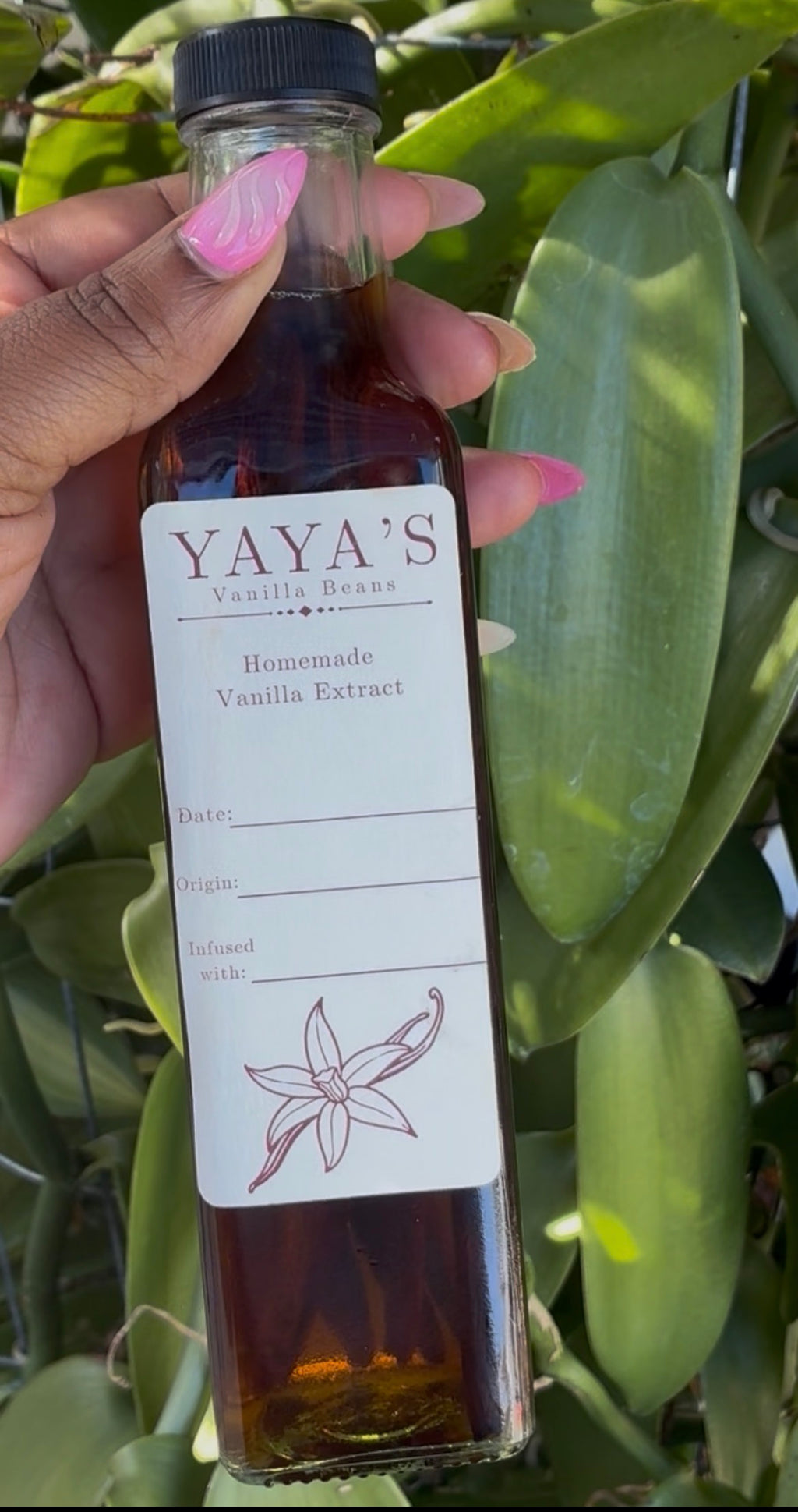 Madagascar Deluxe Vanilla Extract Kit